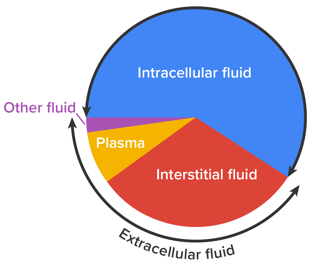 Exchange of Body Fluids between Fluid Compartments Tutorial | Sophia ...