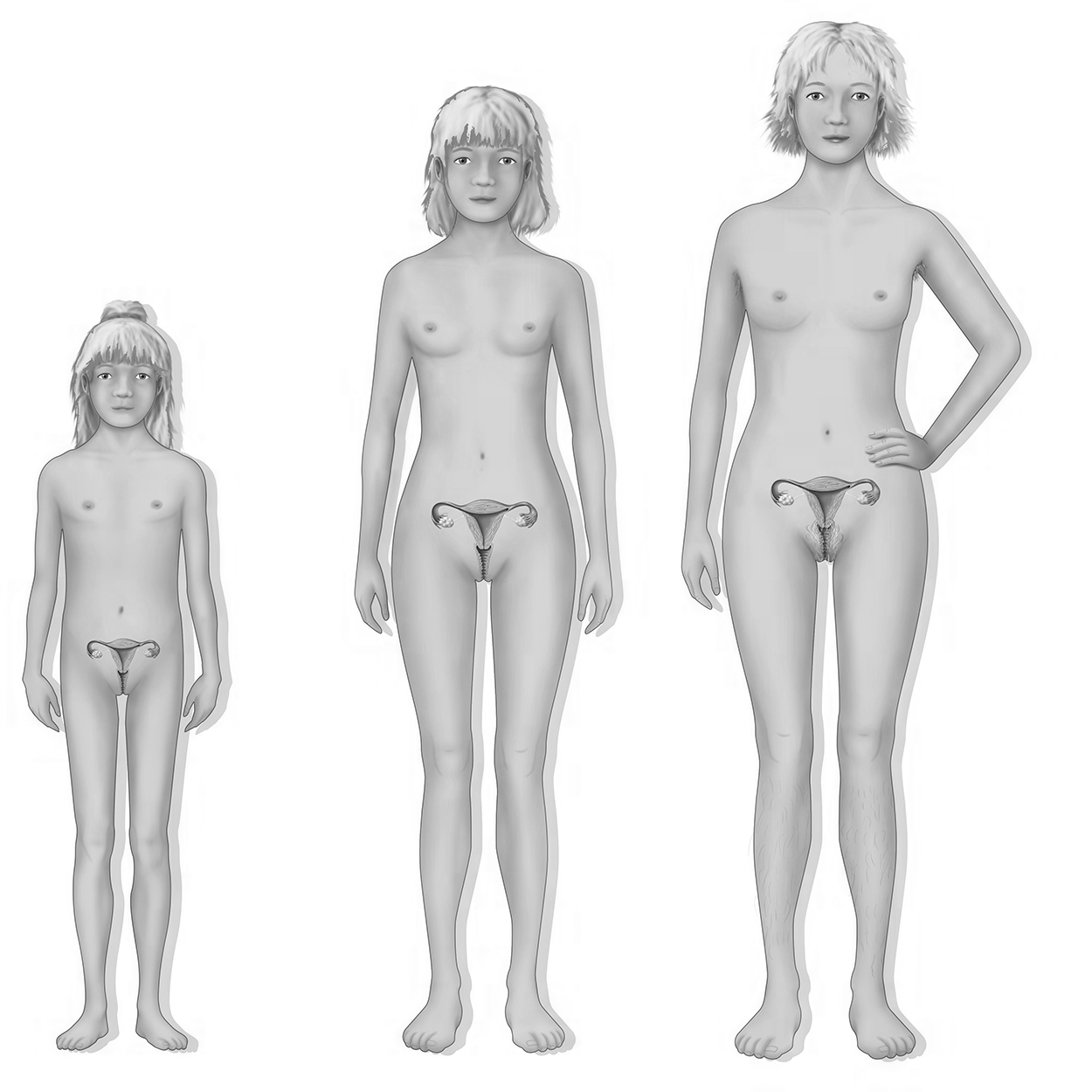 Illustration of a female as a toddler, an adolescent, and as an adult.
