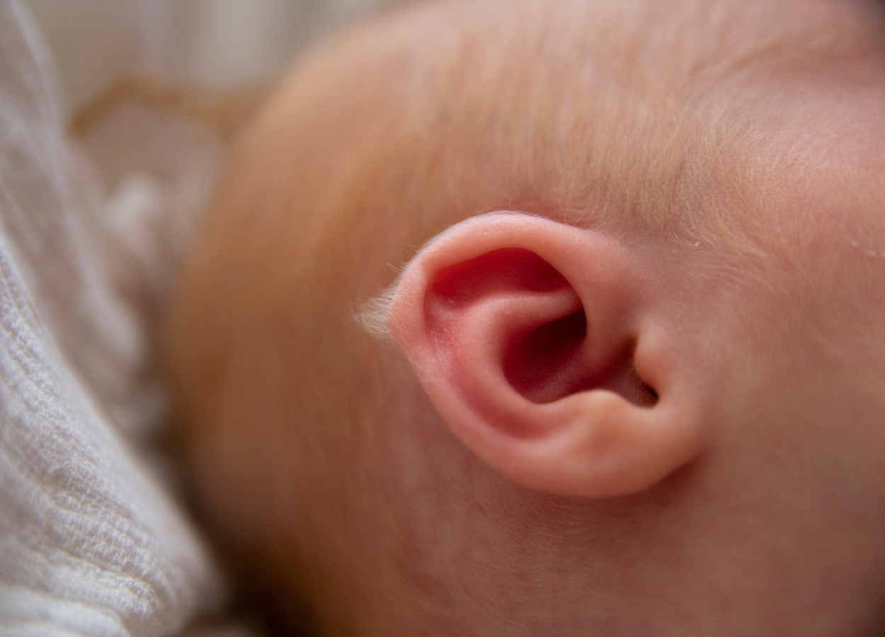 Photo of residual lanugo on the top of a baby's ear.