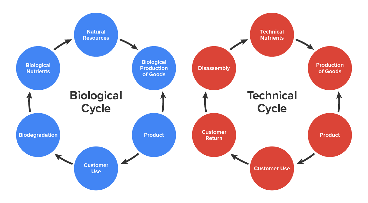 Image of the cradle to cradle approach. On the left side there is a wheel of the biological cycle that shows natural resources, biological production of goods, product, customer used, biodegradation, and biological nutrients. On the right there is a wheel of technical cycle that shows technical nutrients,, production of goods, product, customer use, customer return, and disassembly.