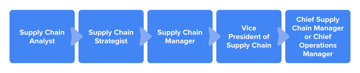Chart showing career progression from supply chain analyst to supply chain strategist, supply chain manager, VP of supply chain, and chief operations manager.