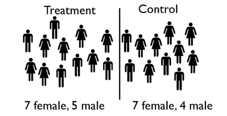 A diagram comparing two groups titled ‘Treatment’ and ‘Control’, separated by a vertical line in the center. On the left side, the title ‘Treatment’ appears above a group of 12 human icons. Beneath this group, the text states ‘7 female, 5 male’. On the right side, the title ‘Control’ appears above another group of 11 human icons. Beneath this group, the text states ‘7 female, 4 male’. The icons represent people, with two different shapes used to distinguish gender.