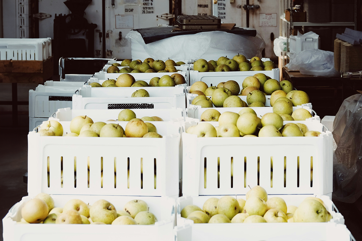 crates of fresh pears