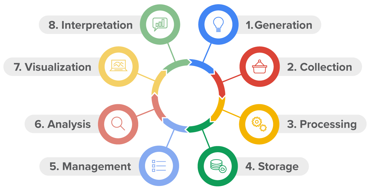 The eight stages of the data lifecycle are, in order: Generation, Collection, Processing, Storage, Management, Analysis, Visualization, Interpretation.