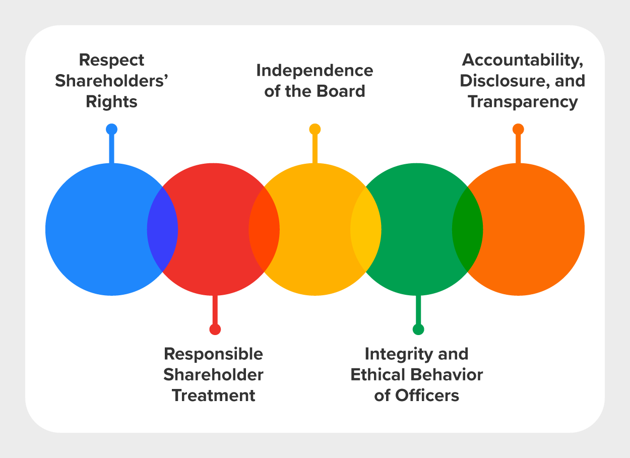 An arrangement of circles that suggests a connected relationship between the corporate governance principles. From left to right, the circles are labeled as follows: Respect Shareholder Rights; Responsible Stakeholder Treatment; Independence of the Board; Integrity and Ethical Behavior of Officers; and Accountability, Disclosure, and Transparency.