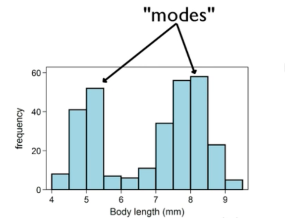 A histogram showing body lengths in millimeters in which the bars representing 5 and 8 mm are the highest relative to the values around them, classifying them both as modes, and classifying the distribution as bimodal.