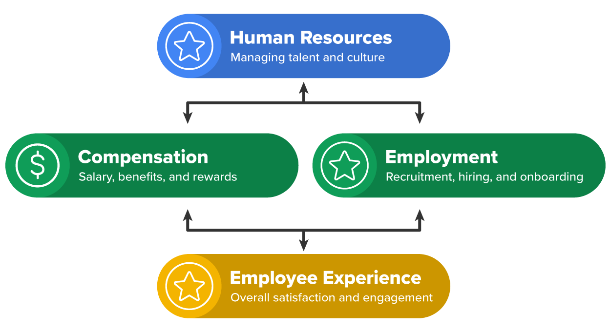 Diagram depicting relationship between HR, Compensation, and Employment.