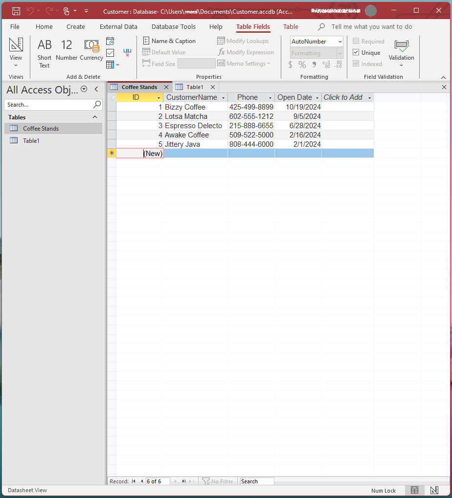 A screenshot of the table fields in Microsoft Access.