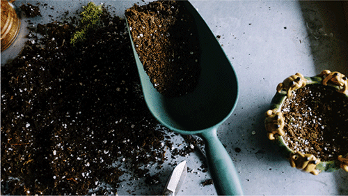 Potting soil