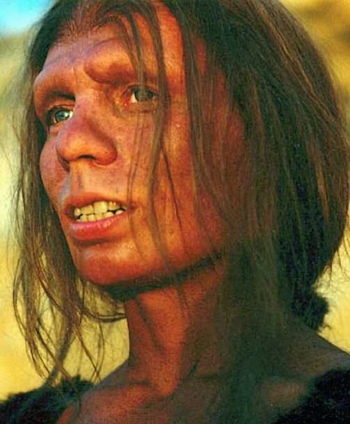 An Imagined Neanderthal Woman—This modern reconstruction of what a Neanderthal woman may have looked like demonstrates a striking resemblance to modern humans. (credit: “Reconstruction of Neanderthal woman (makeup by Morten Jacobsen)” by Public Library of Science/Wikimedia Commons, CC BY 2.5)