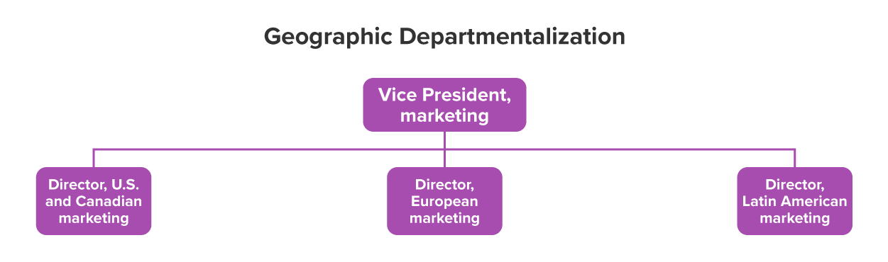 At the top of the organization structure is the vice president of marketing, and below them are the director for U.S. and Canadian marketing, the director for European marketing, and the director for Latin American marketing.