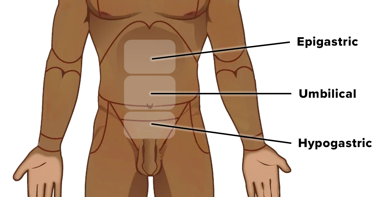 A diagram of the human torso with labeled anatomical regions: Epigastric (upper central abdomen), Umbilical (center of the abdomen around the navel), and Hypogastric (lower central abdomen below the navel).