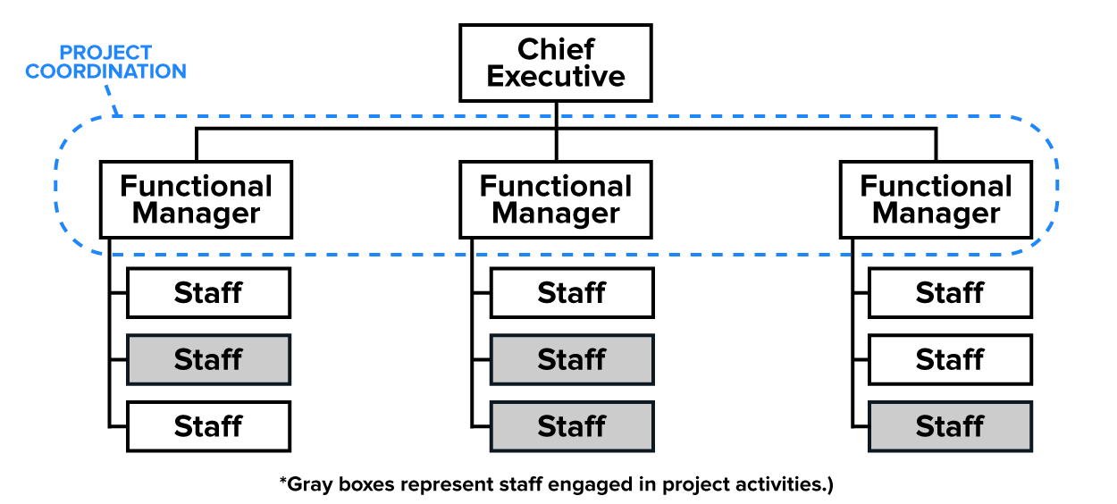 Functional Organizational Structure Example A hierarchical organizational chart starts with a ‘Chief Executive’ at the top, branching downward to three ‘Functional Manager’ boxes. Each functional manager supervises three ‘Staff’ members. Shaded staff boxes indicate individuals involved in project activities. A dashed bracket labeled ‘Project Coordination’ spans horizontally from the Chief Executive across the three functional units. A footnote explains that the shaded boxes represent staff engaged in project activities.