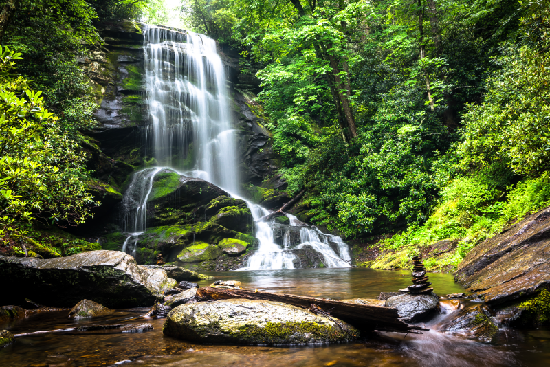 A waterfall cascading over rocks into a shallow pool, surrounded by dense forest.