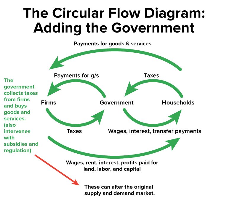 A circular flow diagram with firms and households along with the government is shown. The government collects taxes from both firms and households and makes payments for goods and services. The government also provides households with wages, interest, and transfer payments. Additional notes on the diagram highlight the government’s role in intervening through subsidies and regulation, which can affect the original supply and demand market.