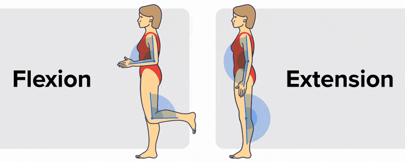 An illustration of a female human figure is shown on the left side of the screen, standing and facing forward with feet slightly apart and arms straight at sides. The figure’s arm and leg on the same side move away from the body, and the text ‘Abduction’ is shown to the left of the figure. The same figure appears on the right side of the screen, standing and facing forward with feet slightly apart and arms straight at sides. The figure’s arm and leg on the same side move toward the midline of the body, crossing the midline so the arm is in front of the body and the leg slightly crosses over the other leg, while the text ‘Adduction’ is shown to the right of the figure. This view moves upward to disappear off screen and a new view appears coming up from the bottom. The same female figure is shown facing forward, with one arm out to the side that moves in a complete circle at the shoulder joint. A thin gray line with an arrow is shown following the circle to depict rotation, while the text ‘Rotation’ is shown on the right side of the screen. This view moves upward to disappear off screen and a new view appears coming up from the bottom. The same female figure is shown facing forward and then the perspective zooms in further to show only her torso and arms. The female’s hands turn to face palms forward, and the text ‘Supination’ is shown to the left of the figure. The female’s hands turn to face palms facing away, with backs of hands visible, and the text ‘Pronation’ is shown to the right of the figure. This view moves upward to disappear off screen and a new view appears coming up from the bottom, which is a view of only the ankles and feet. The feet move where the sole of the foot turns outward away from the midline of the body through movement at the ankle joint, and the text ‘Eversion’ is shown on the left. The feet move where the sole of the foot turns inward toward the midline of the body through movement at the ankle joint and the text ‘Inversion’ is shown on the right. This view moves upward to disappear off screen and a new view appears coming up from the bottom, which is a side view of a single foot from the ankle downward. The toes point away from the body with a blue arrow pointing downward, with the text ‘Plantar Flexion’ shown on the left. The toes then pull up toward the body with a blue arrow pointing up, with the text ‘Dorsiflexion’ shown on the right. This view moves upward to disappear off screen and a new view appears coming up from the bottom, which is a side view of the entire female illustrated figure on the left side of the screen. A blue line with a fulcrum at the joint is overlaid on top of the arm, with the fulcrum at the elbow, and on top of the leg, with the fulcrum at the knee. The figure bends the elbow and the knee simultaneously where the angles of the fulcrum move closer to each other, and the text ‘Flexion’ is shown. This view is retained on screen and the same female figure is duplicated on the left side of the screen. The figure extends the elbow and the knee simultaneously where the angles of the fulcrum increase, and the text ‘Extension’ is shown.