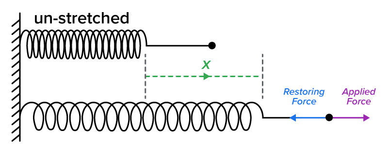 Hooke’s Law Tutorial | Sophia Learning