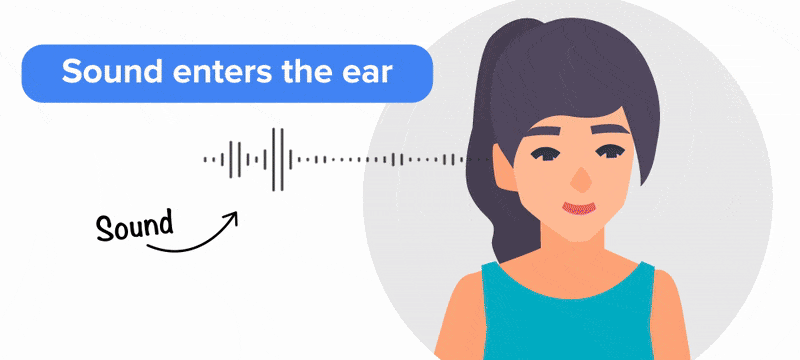 Ear Anatomy Tutorial | Sophia Learning