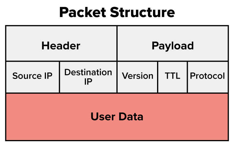 A network packet contains a header with essential control information — such as source and destination IP addresses, protocol type, and time-to-live followed by the payload, which holds the user’s actual data.
