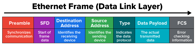 An Ethernet frame at the Data Link layer is made up of distinct fields, each with a specific purpose from synchronization and addressing to carrying data and verifying accuracy. This diagram shows the order, relative size, and role of each field as it travels across the network.