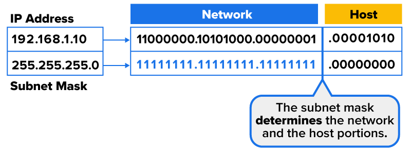 Diagram showing IP address 192.168.1.10 with subnet mask 255.255.255.0, dividing binary into network (first 24 bits) and host (last 8 bits).