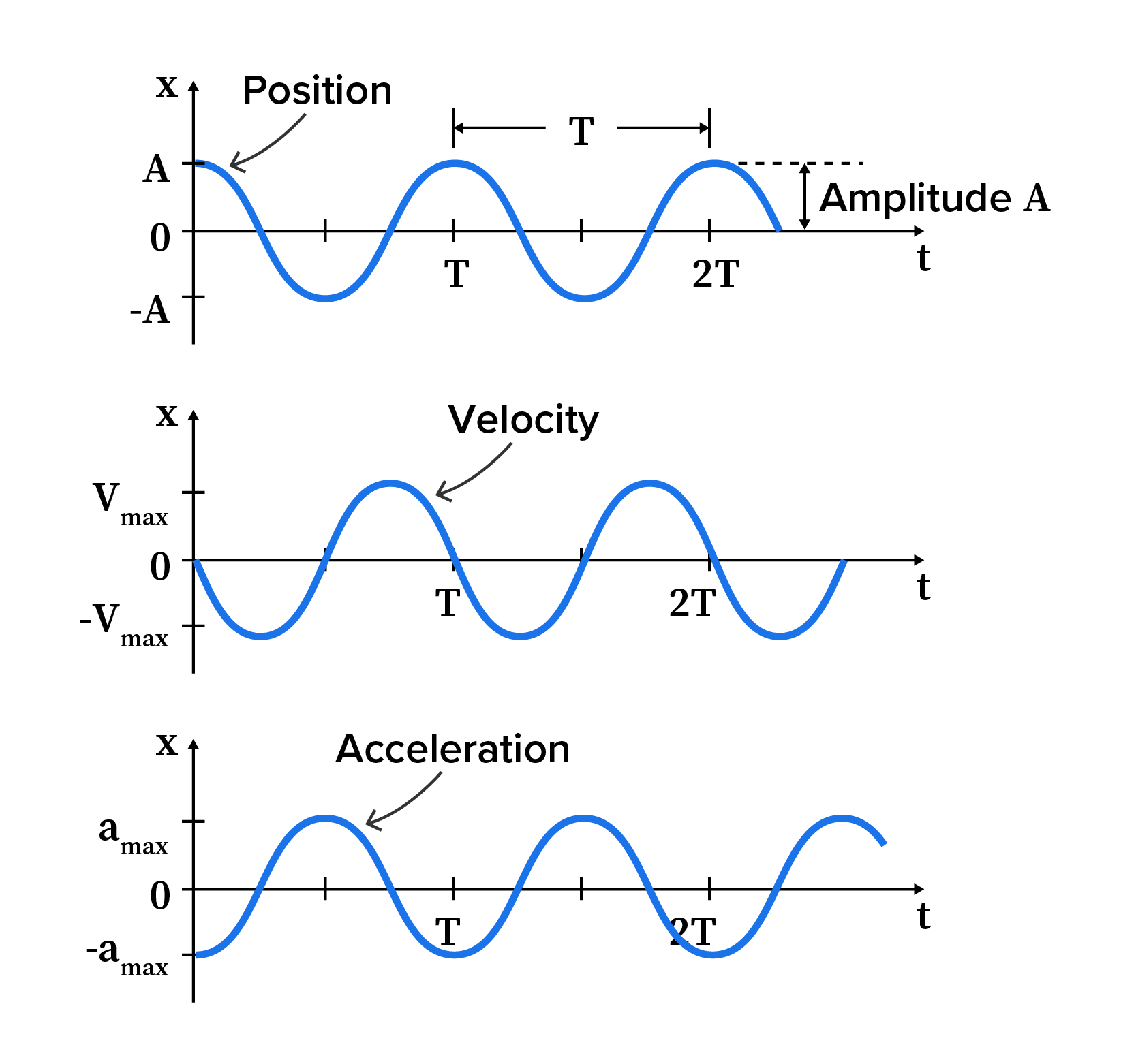 Simple Harmonic Motion of a Mass Attached to a Spring Tutorial | Sophia ...