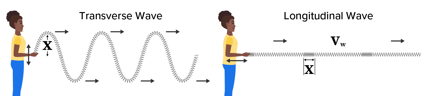 Two‑part diagram showing a person creating a transverse wave with hand motion and a straight, unmoving line for a longitudinal wave