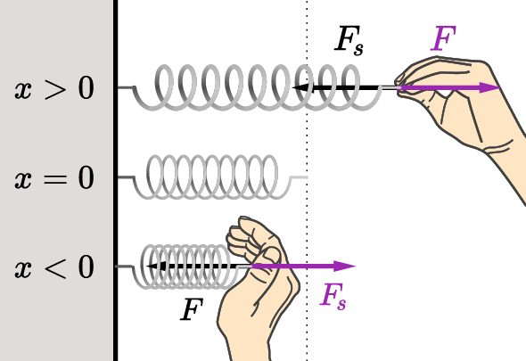 Simple Harmonic Motion of a Mass Attached to a Spring Tutorial | Sophia ...