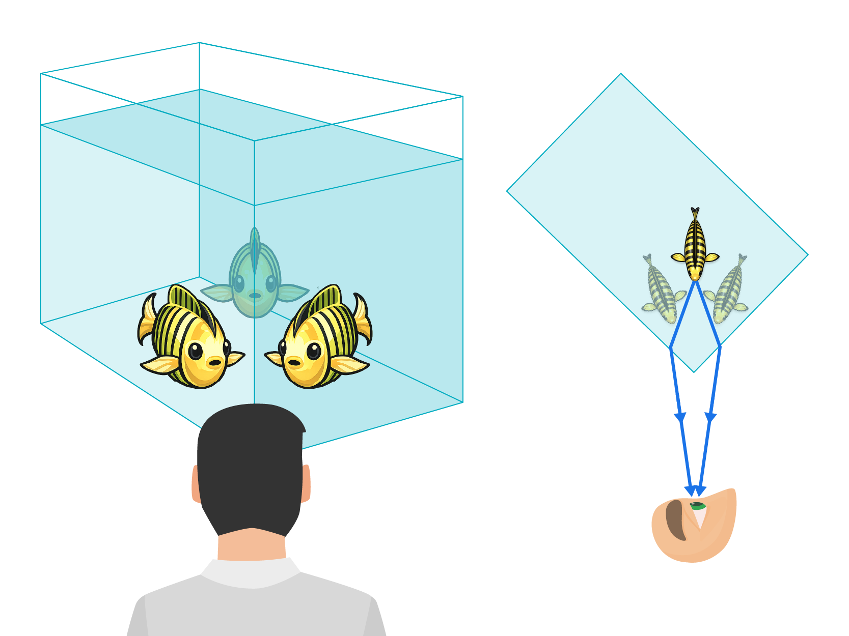 Refraction Tutorial | Sophia Learning