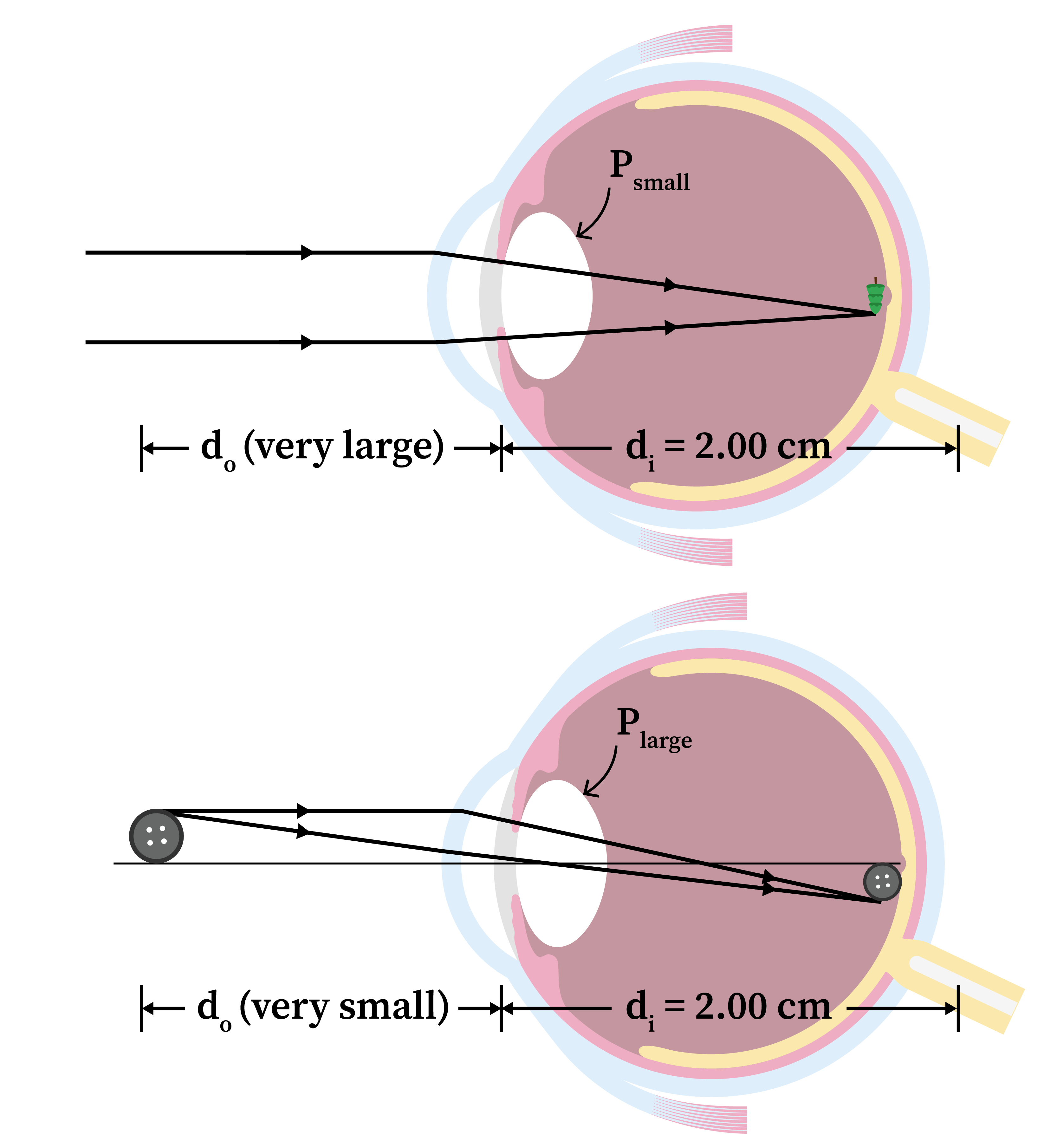 Normal Definition Optics Optical Instruments Tutorial | Sophia Learning