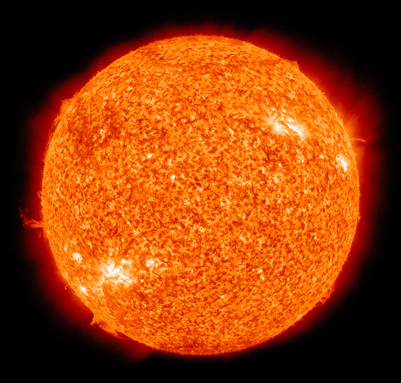 Close up photo of an orange-speckled Sun