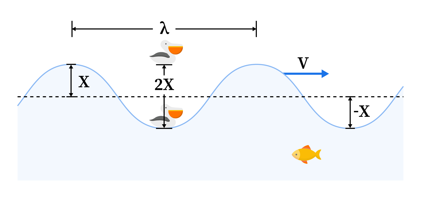 Image of a seagull bobbing up and down on an ocean wave, illustrating vertical oscillation.