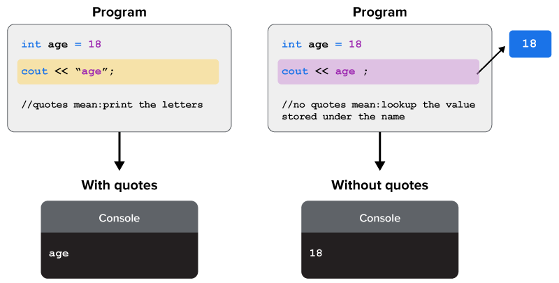 Variables and Data Types Tutorial | Sophia Learning
