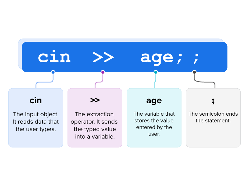 Using cin Tutorial | Sophia Learning