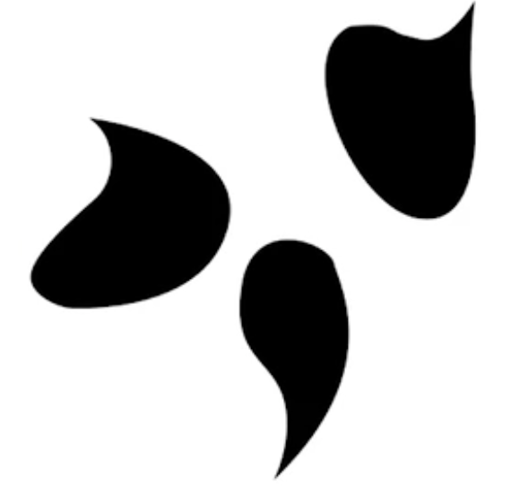 Curvilinear