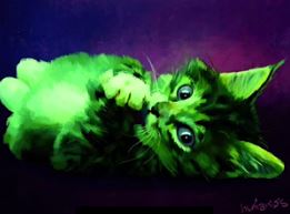 Raise Saturation Cat